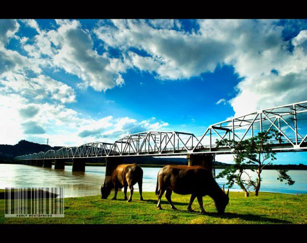 600018_467663879965964_99163302_n